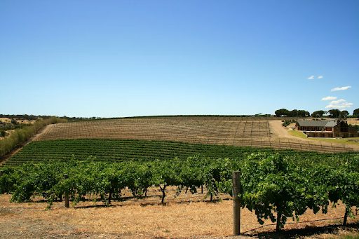 Barossa Valley, cheapest places to travel to in Australia