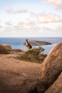 Kangaroo Island, cheapest places to travel to in Australia