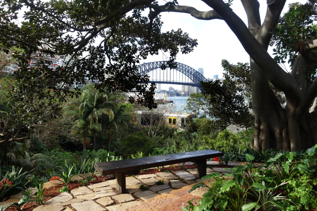 A view of the Sydney Harbour Bridge from Wendy's Secret Garden